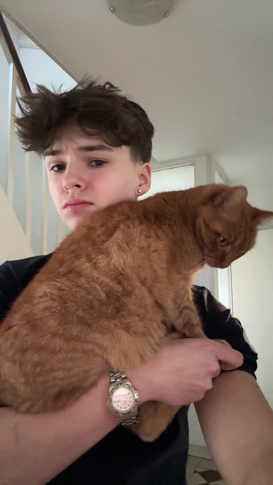 TikTok video thumbnail by maxii1104