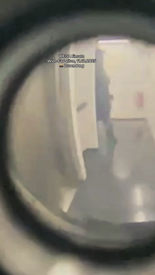 TikTok video thumbnail by esterreicherr