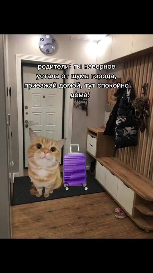 TikTok video thumbnail by newdecision