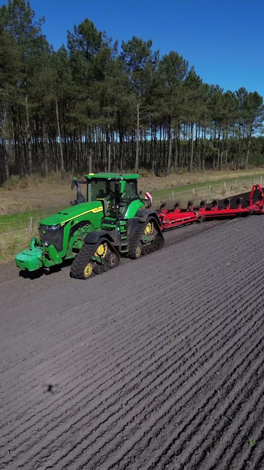 TikTok video thumbnail by agri_landes