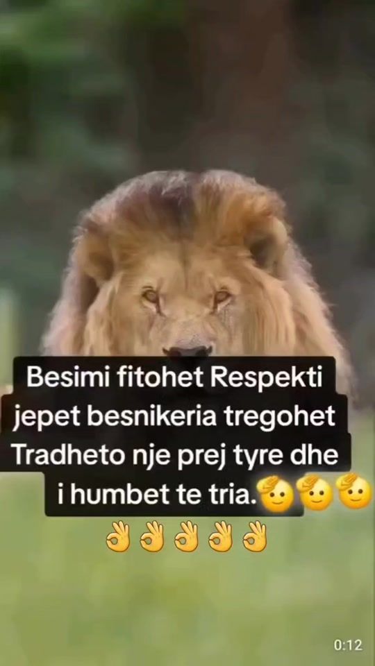 TikTok video thumbnail by a.alehandro