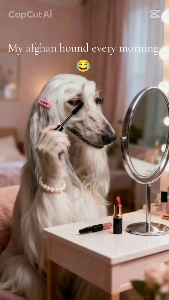 TikTok video thumbnail by genuteskabeike