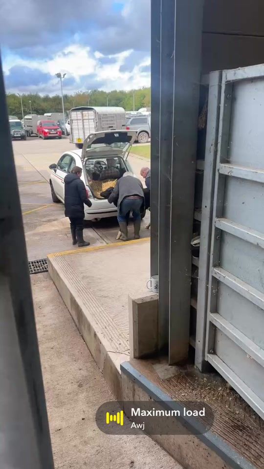 TikTok video thumbnail by tomsilverthorne