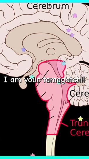 TikTok video thumbnail by xnn1nx