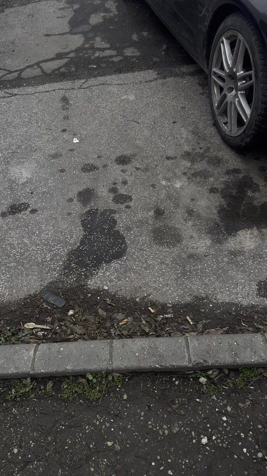 TikTok video thumbnail by westcoast358