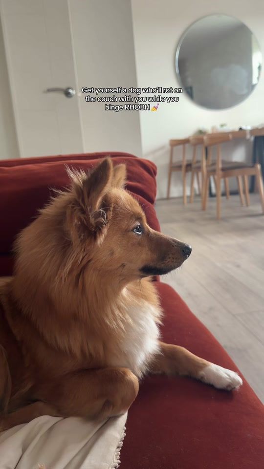 TikTok video thumbnail by itsthelifeofrobyn0