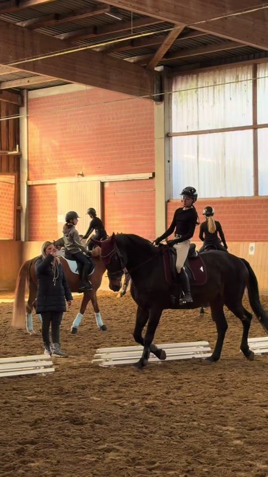 TikTok video thumbnail by gisella.equestrian