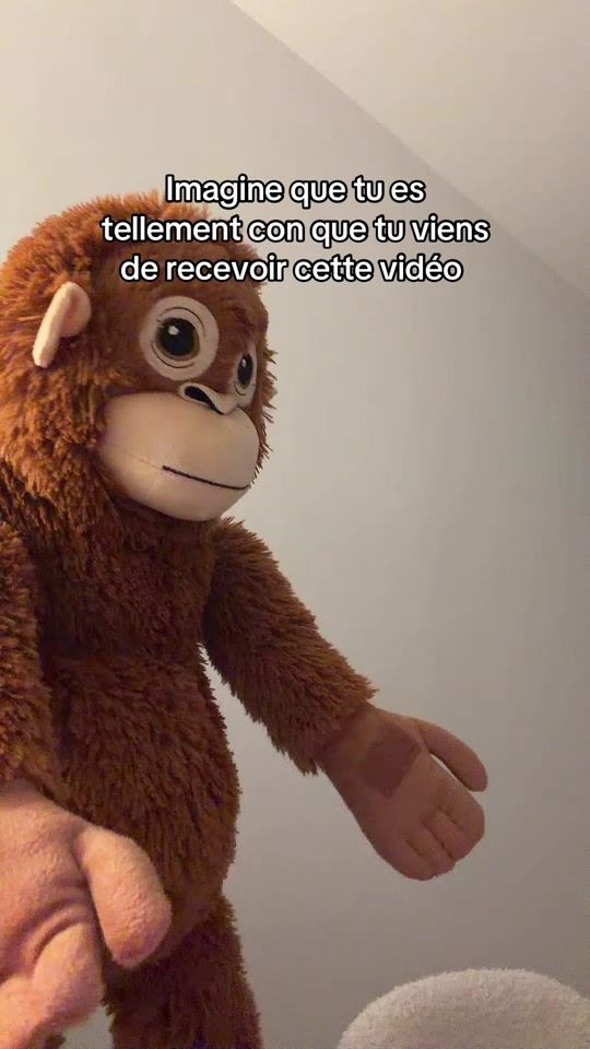 TikTok video thumbnail by mistermonkey54