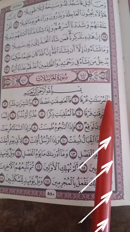 TikTok video thumbnail by mjsalafi1