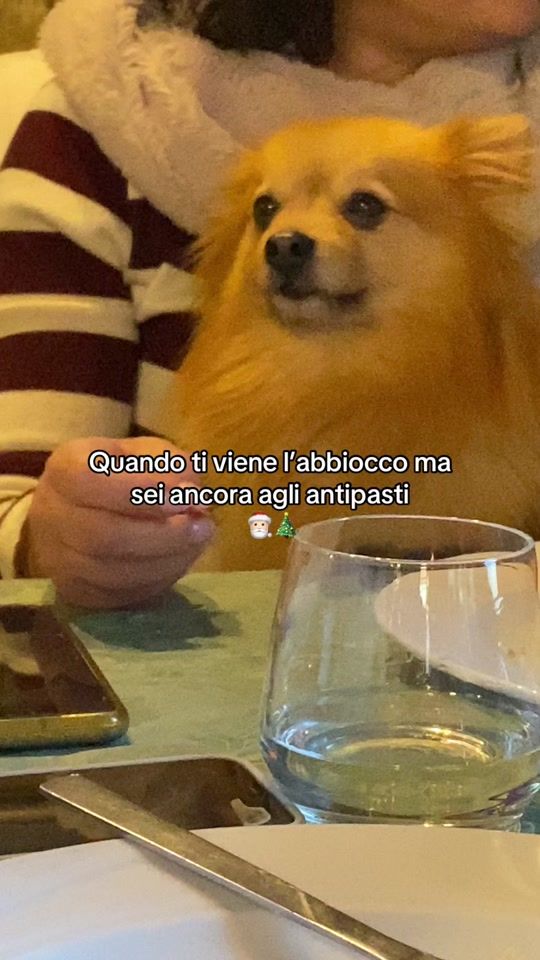 TikTok video thumbnail by saragallone