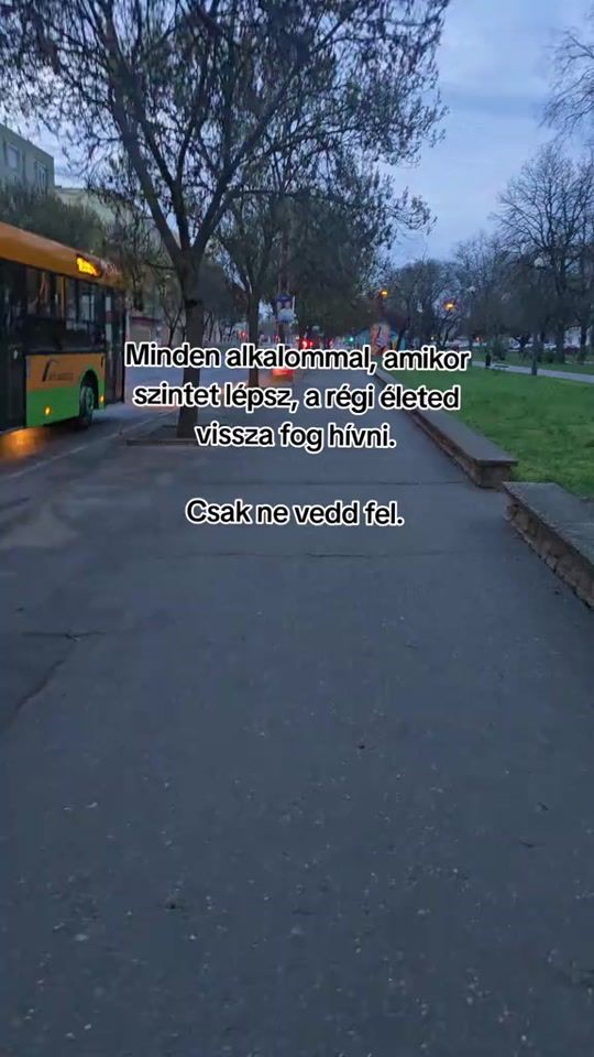 TikTok video thumbnail by kalmi943