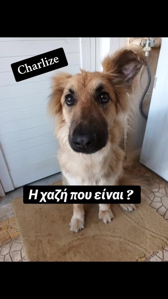 TikTok video thumbnail by _l_e_m_o_n_i_a_