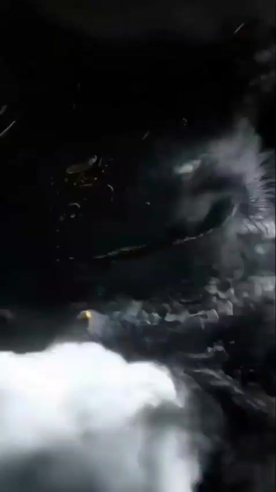 TikTok video thumbnail by gigolo.111