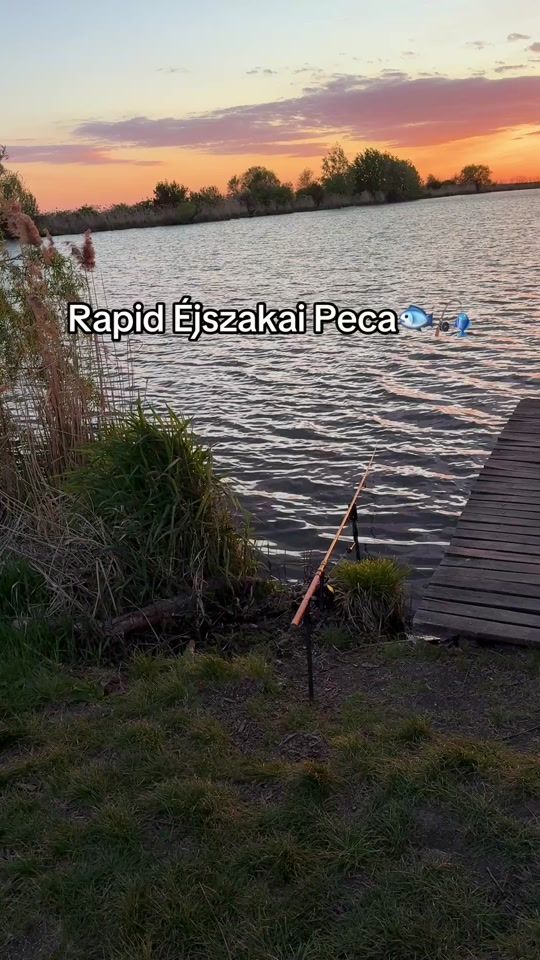 TikTok video thumbnail by robincarpfishing