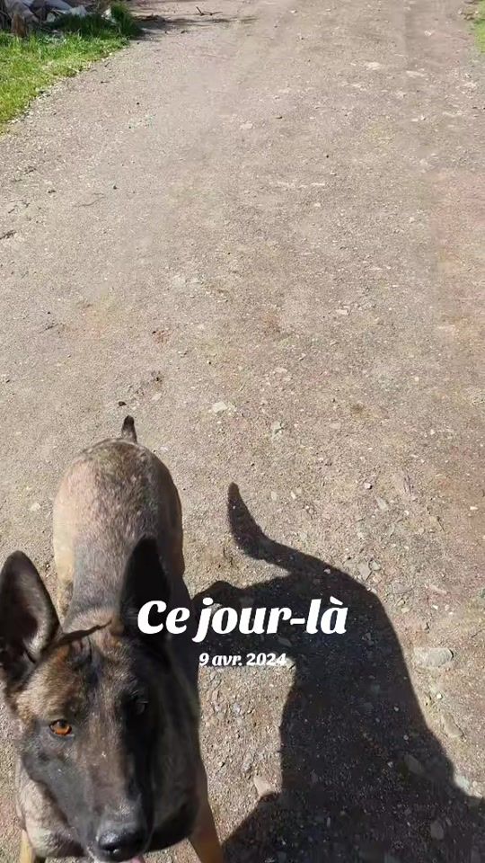 TikTok video thumbnail by barbouh.roxy
