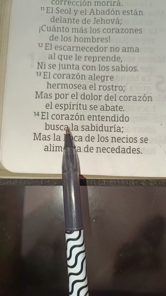 TikTok video thumbnail by leorio_03