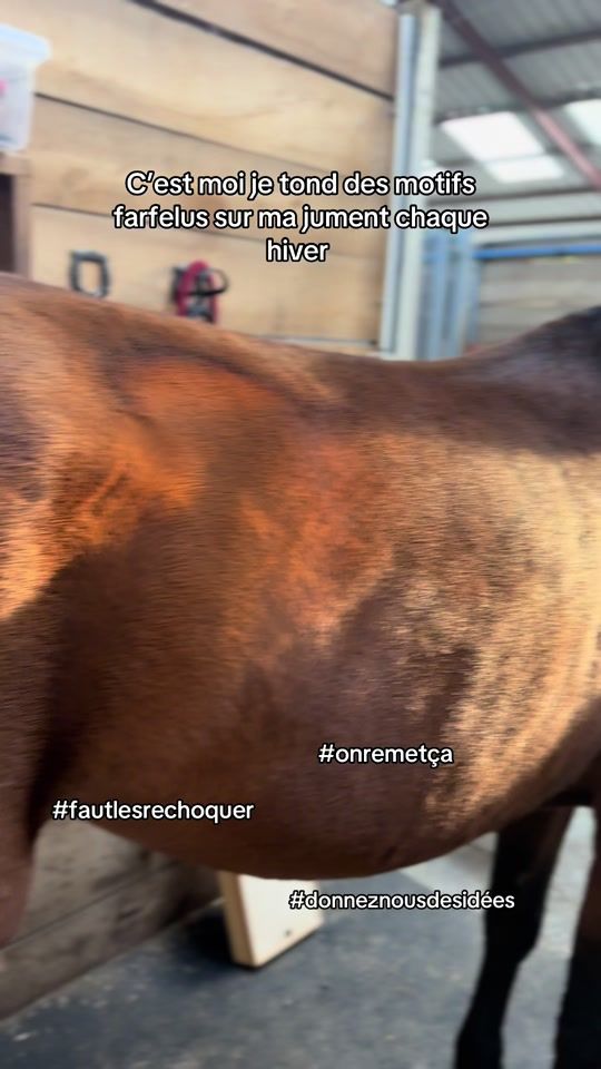 TikTok video thumbnail by dalida_du_sfflt