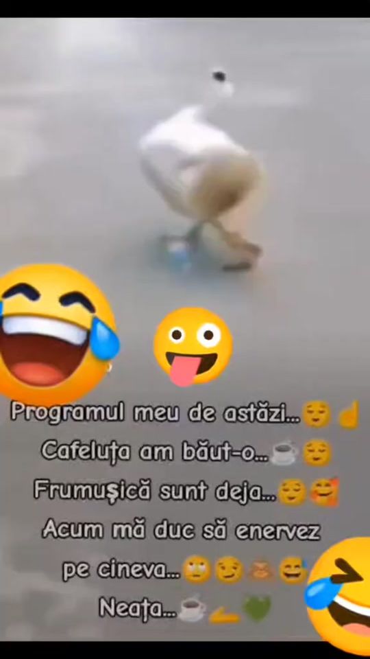 TikTok video thumbnail by anemarya79