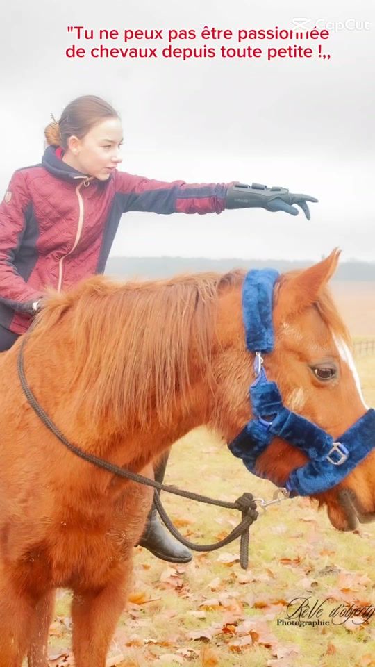 TikTok video thumbnail by surprise.chevaux