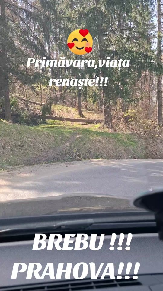 TikTok video thumbnail by dinu.viorel8