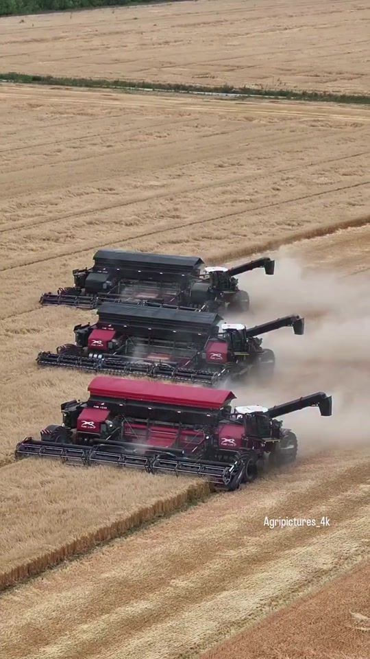 TikTok video thumbnail by agripictures_4k
