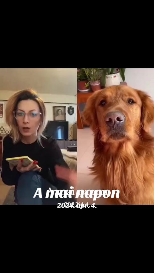 TikTok video thumbnail by icus87