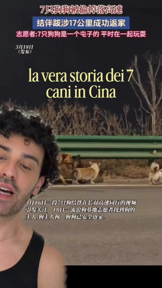 TikTok video thumbnail by stefanoguerrera