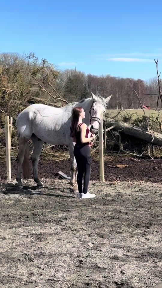 TikTok video thumbnail by _alice_eventing_