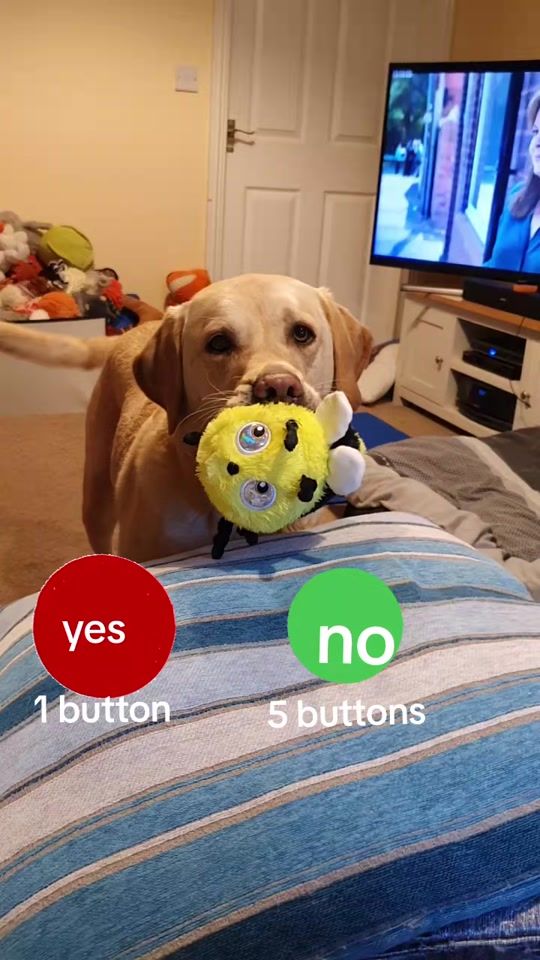 TikTok video thumbnail by maxandmum_46