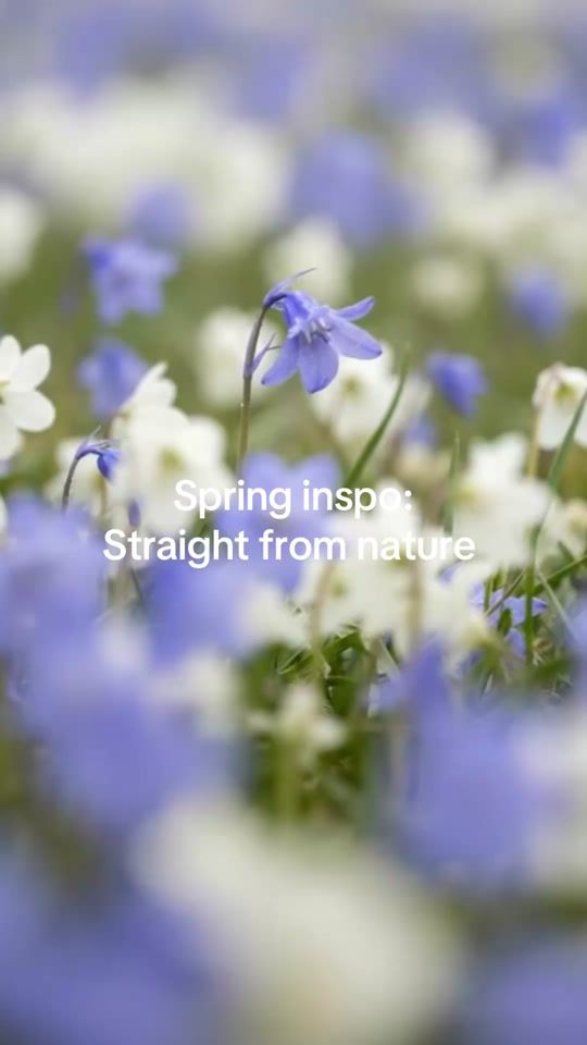 TikTok video thumbnail by oysho