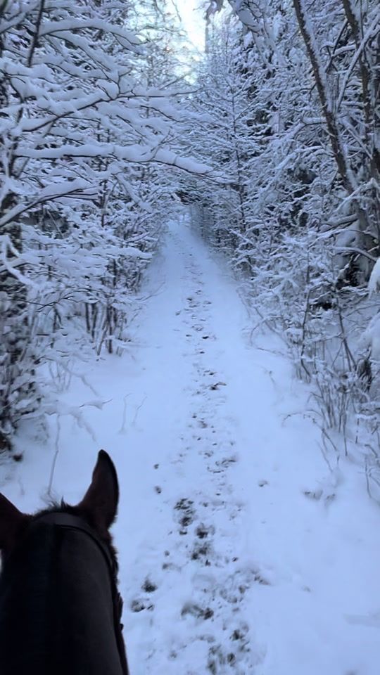 TikTok video thumbnail by equi.tildee