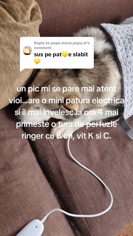 TikTok video thumbnail by tomproaudio