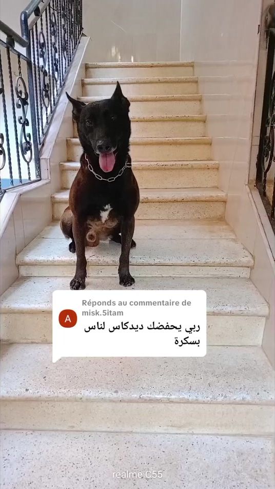 TikTok video thumbnail by farouk_couvid