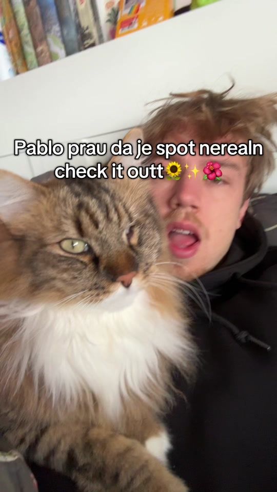TikTok video thumbnail by stickbig1