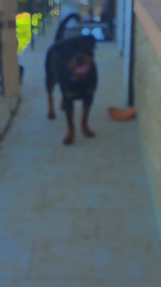 TikTok video thumbnail by mafiablack527