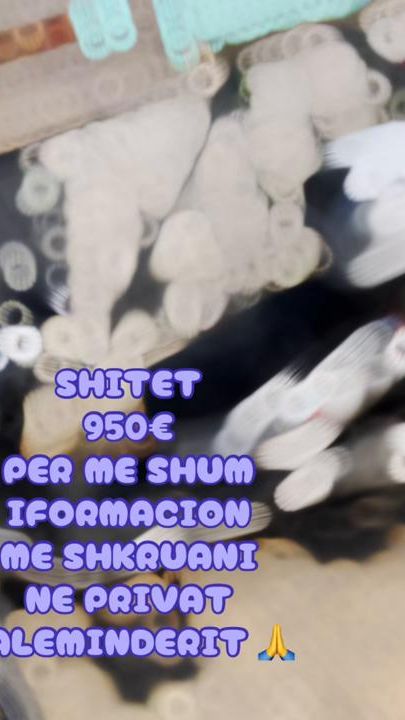 TikTok video thumbnail by vitori.71