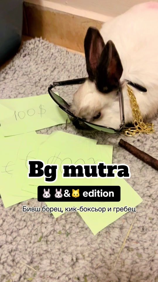 TikTok video thumbnail by doroteya_vel