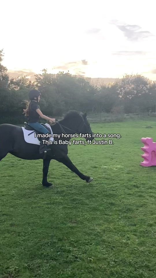 TikTok video thumbnail by bestwhenbridleless