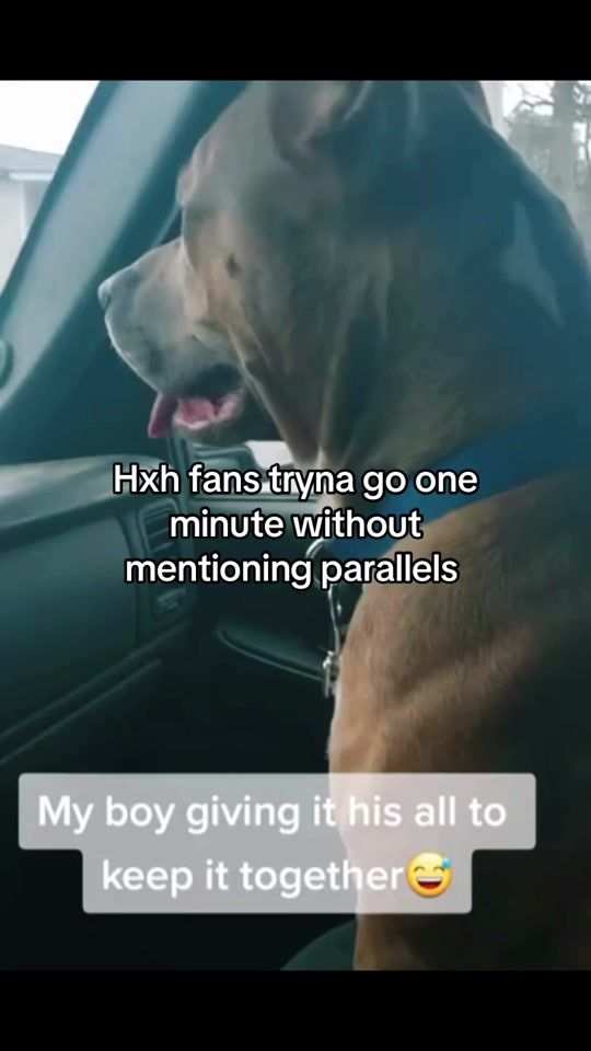 TikTok video thumbnail by jikazzuki