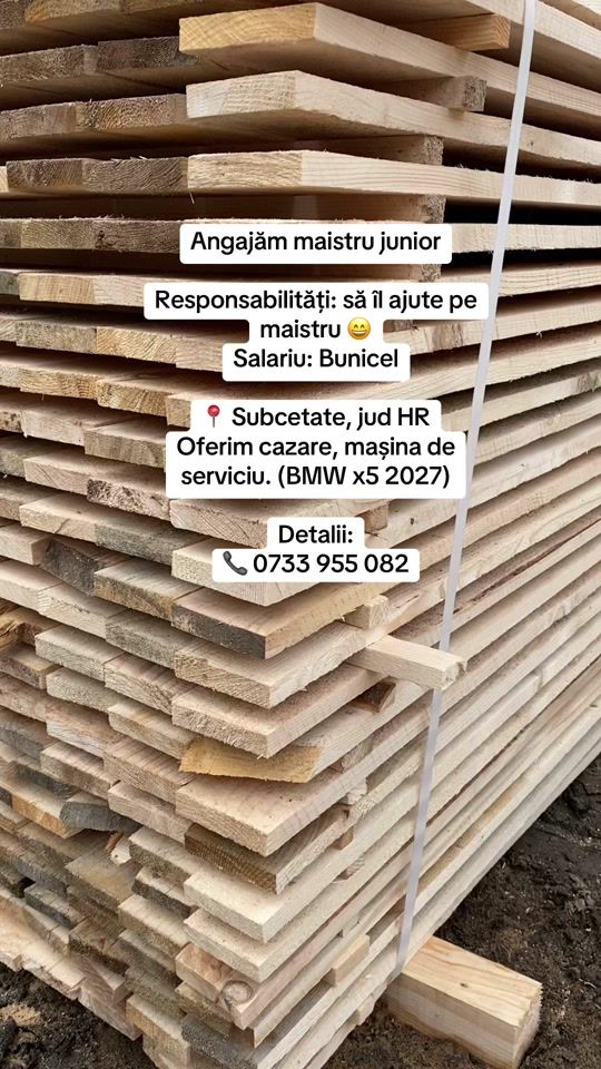 TikTok video thumbnail by copetdinex