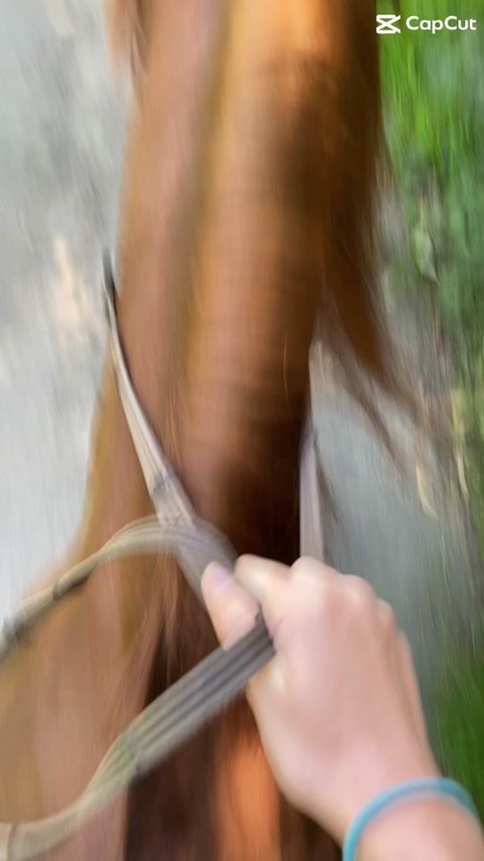 TikTok video thumbnail by memiercoles