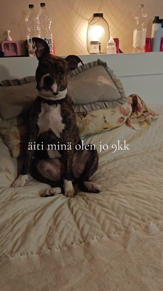 TikTok video thumbnail by haididai
