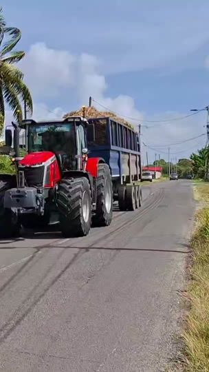 TikTok video thumbnail by carou_agri