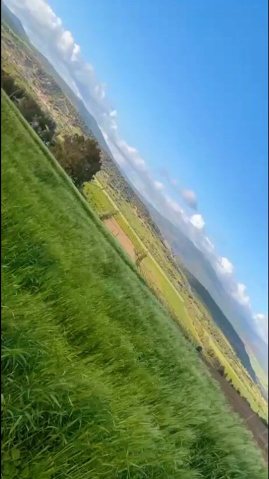 TikTok video thumbnail by le.m5553
