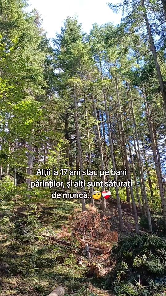 TikTok video thumbnail by stelian7130