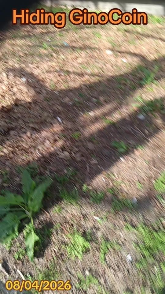 TikTok video thumbnail by gino_koychev