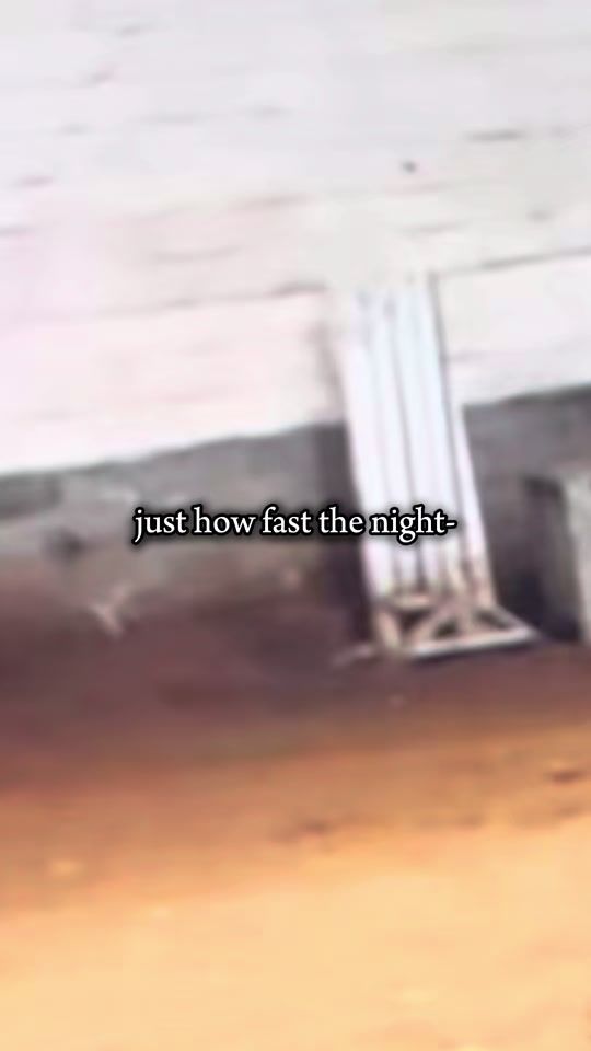 TikTok video thumbnail by manege_berkenheide