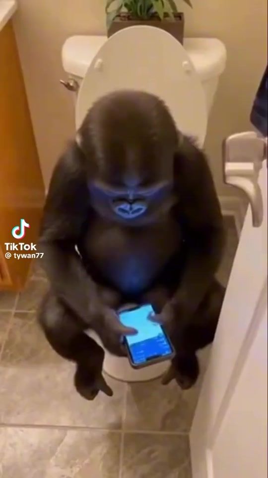 TikTok video thumbnail by koulliss0