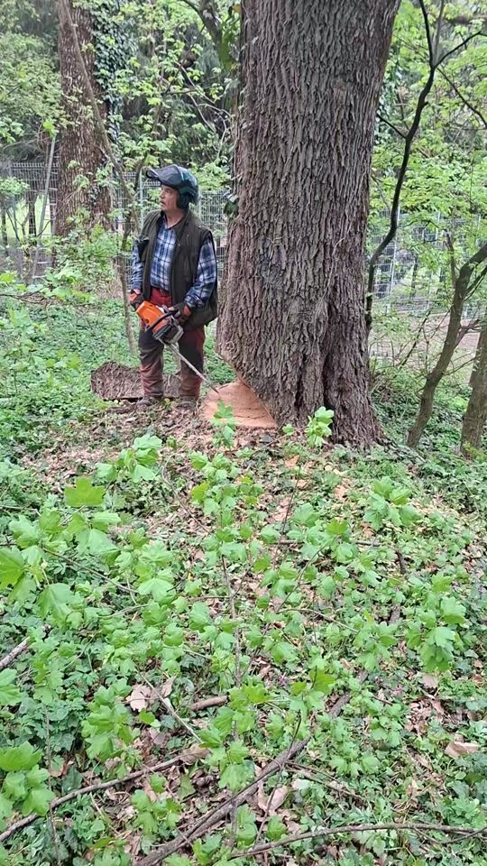 TikTok video thumbnail by szaffi8