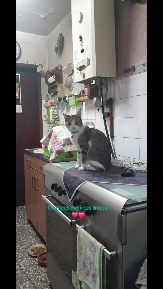 TikTok video thumbnail by paulinhateixeira932